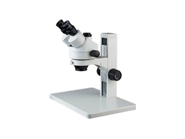 ������΢��