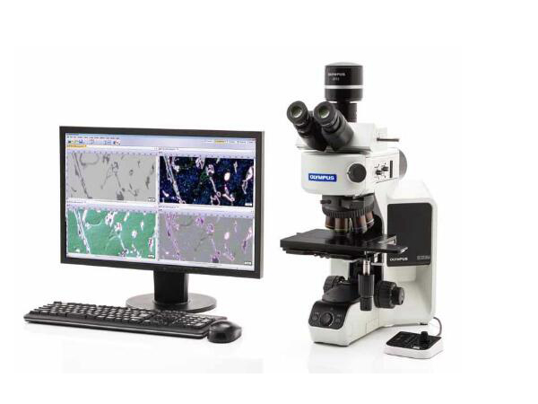 BX53M���ְ�˹������΢��